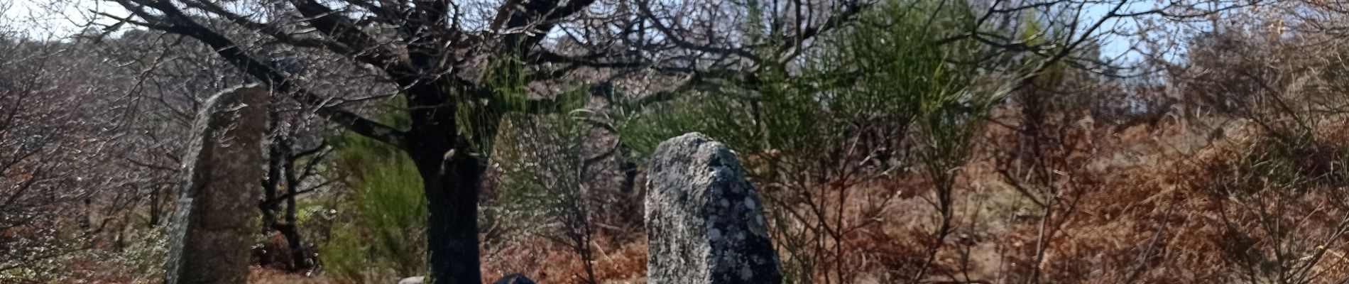 Tour Zu Fuß Colognac - 30 du Cayrel au Camp Barrat 20/02/24 - Photo