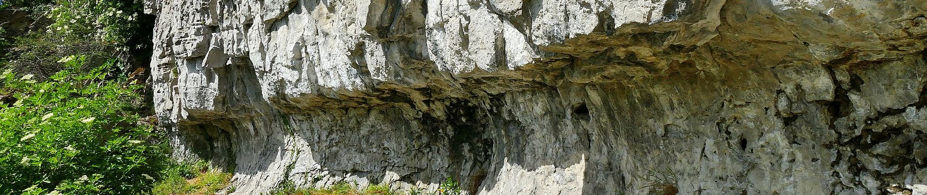 Tocht Te voet Salzhemmendorf - SA3 Kanstein Rundwanderweg - Photo