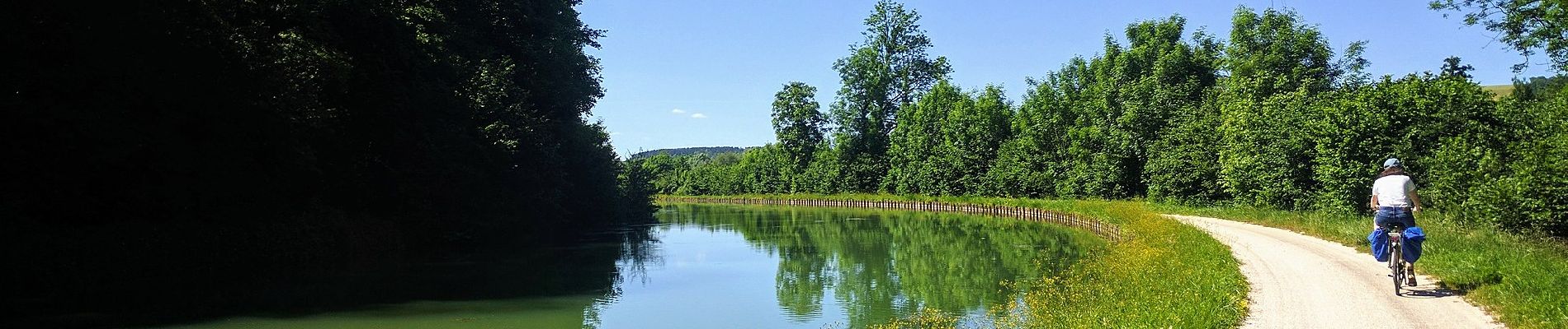 Percorso A piedi Montbard - Circuit d'Arlette - Photo