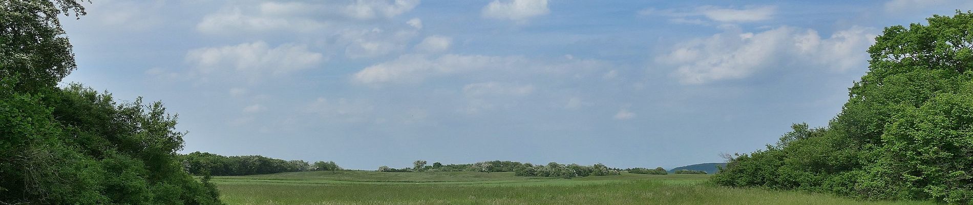 Percorso A piedi Bad Münstereifel - EifelSchleife Von Sternen und Römern - Photo