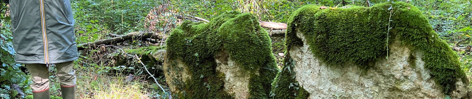 Tour Wandern Arc-en-Barrois - 52 Arc en Barrois dolmens - Photo