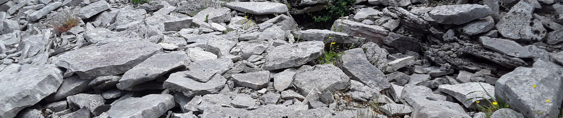 Tocht Stappen Ferrières-les-Verreries - Ferrięre les verrerie aller retour  - Photo