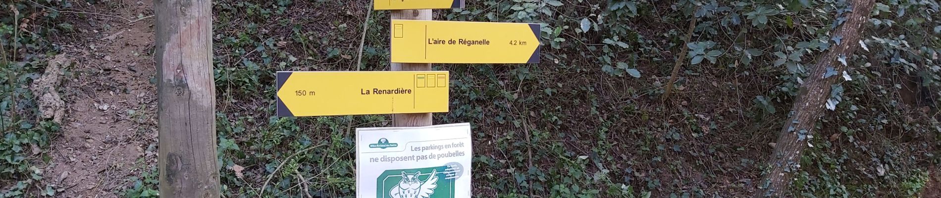 Randonnée Marche Les Arcs-sur-Argens - ménhirs des Terriers  - Photo