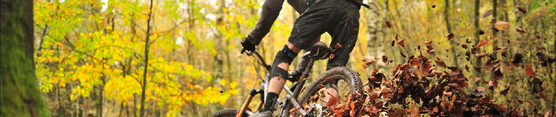 Percorso Mountainbike Spa - Spa VTT n°5 - Photo