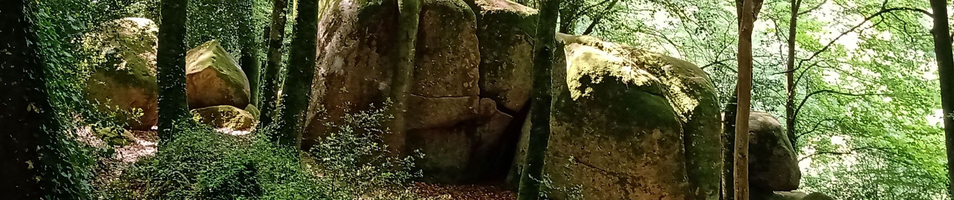 Percorso Marcia Plaintel - Les Mauriers par le chemin des fées. - Photo