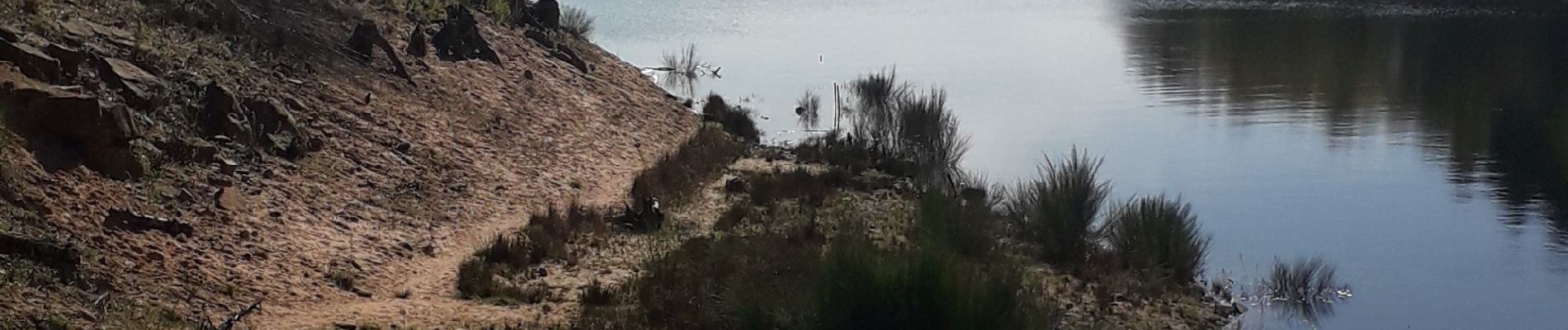 Tour Wandern Celles-sur-Plaine - barrage du lac de Pierre percée  - Photo