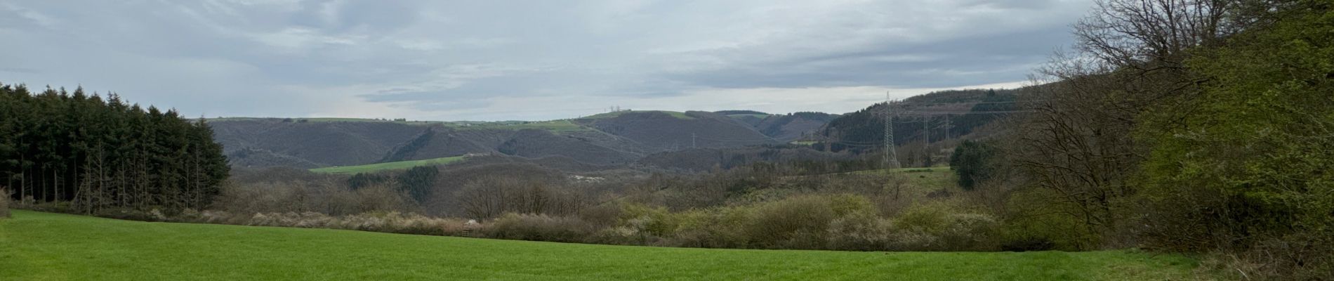 Tocht Noords wandelen Vianden - Gr5 E2 de  Vianden à Dasbourg Pont - Photo