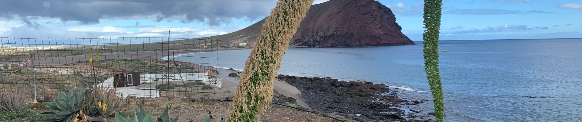 Tour Wandern Granadilla de Abona - Granadilla de Abona_ Réserve et Montana Roja - Photo