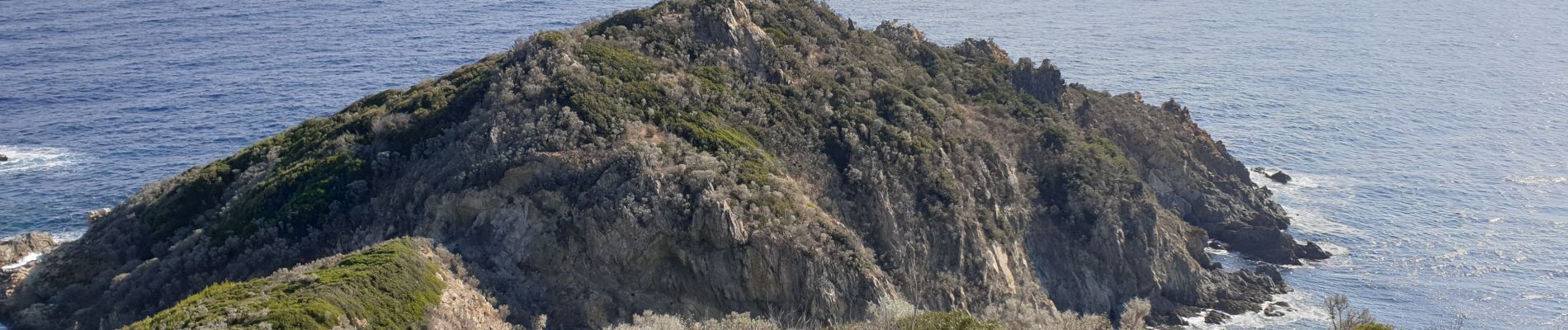 Trail Walking La Croix-Valmer - gigaro. CAP taillat, Cap lardier  - Photo