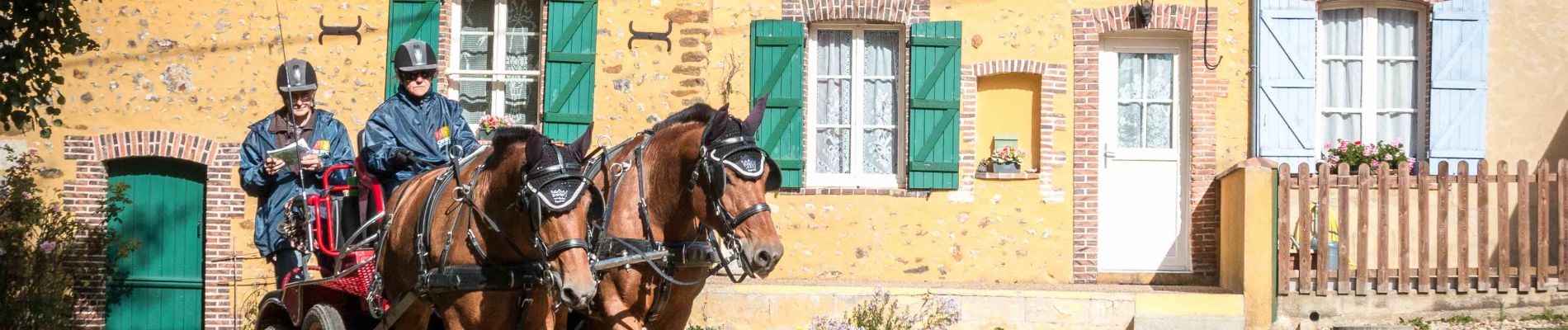 Percorso Marcia La Madeleine-Bouvet - La Madeleine-Bouvet - Moutiers-au-Perche 9 km - Photo