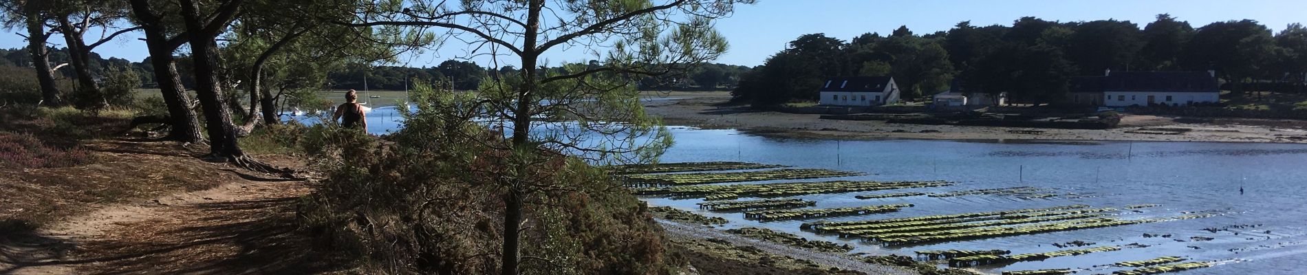 Excursión Senderismo Sarzeau - 2019-09-03 GR34 ENTRE SARZEAU ET LE LOGOS  - Photo