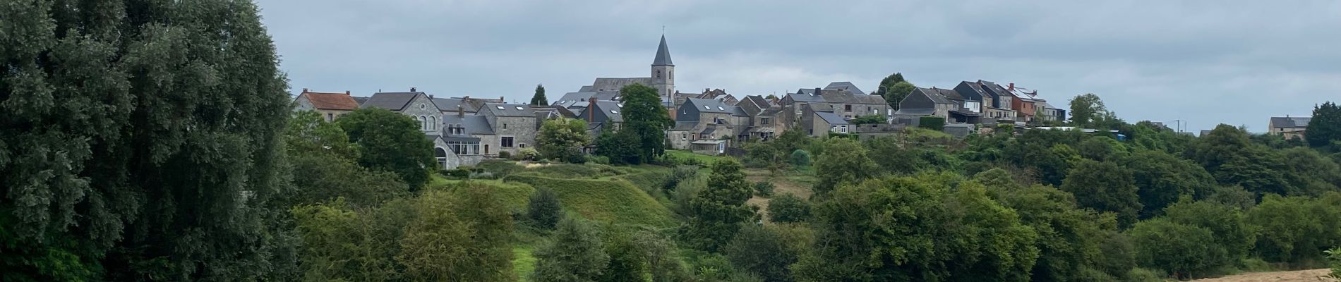 Randonnée Marche Dinant - GRP125: Dinant -Lustin - Photo