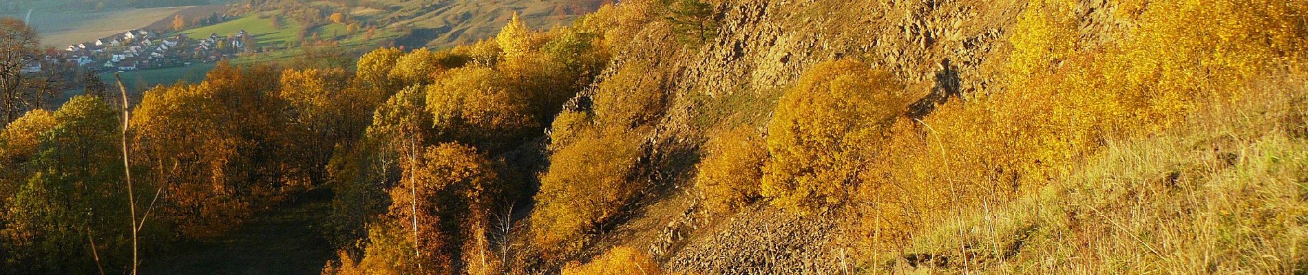 Randonnée A pied Kaltennordheim - Feldatalrundweg - Photo