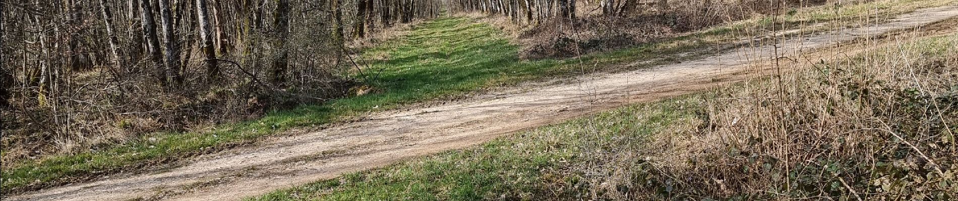 Tour Mountainbike Vouthon-Haut - reco partielle vtt les Chemins d'Isabelle.  - Photo