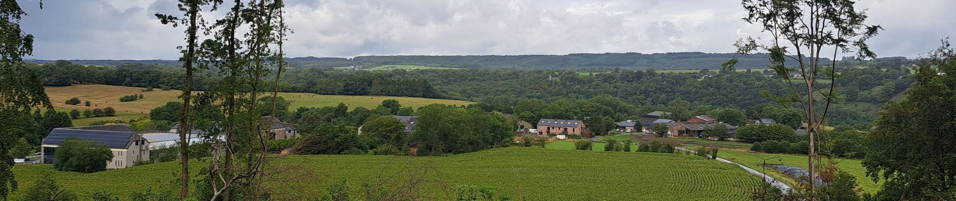 Trail Walking Durbuy - Bohon - Barvaux - Warre - Durbuy - Photo