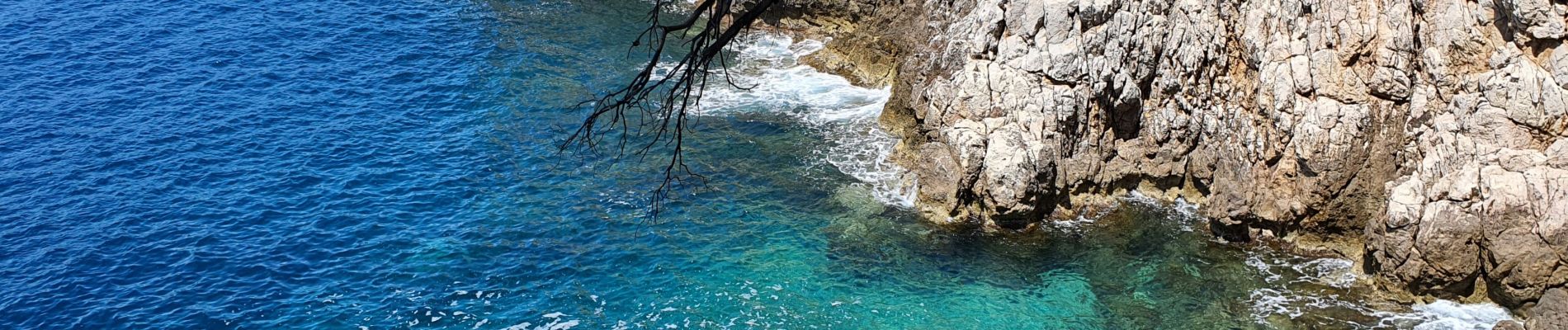 Tocht Stappen Saint-Jean-Cap-Ferrat - CAP FERRAT - Photo