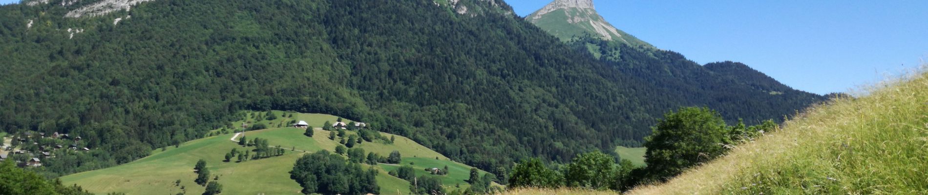 Tour Wandern Aillon-le-Jeune - MONT PELAT boucle - Photo