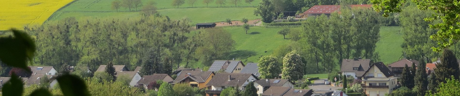 Trail On foot Groß-Umstadt - Rundwanderweg Raibach 1 : Kuckucks-Weg - Photo