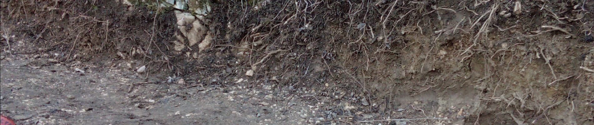 Tocht Stappen Saint-Nazaire-en-Royans - Chemin Vanille St Nazaire - Photo