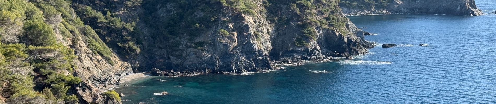 Tour Wandern La Seyne-sur-Mer - Notre Dame du Mai - Cap Sicié - Photo