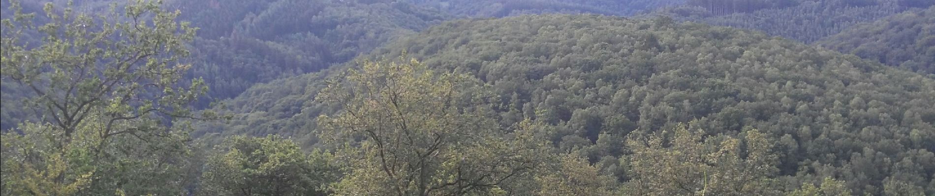 Tour Wandern La Roche-en-Ardenne - Berismenil du mardi - Photo