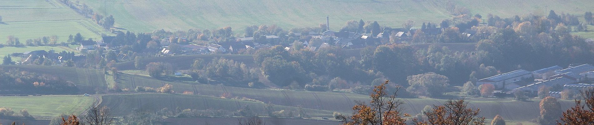 Randonnée A pied Harztor - Südharzer Dampflok Steig - Photo