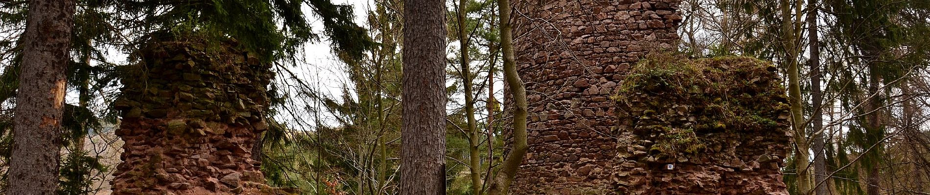 Tocht Te voet Měděnec - [Z] 3989 Perštejn (rozc.) - Horní Halže - Photo