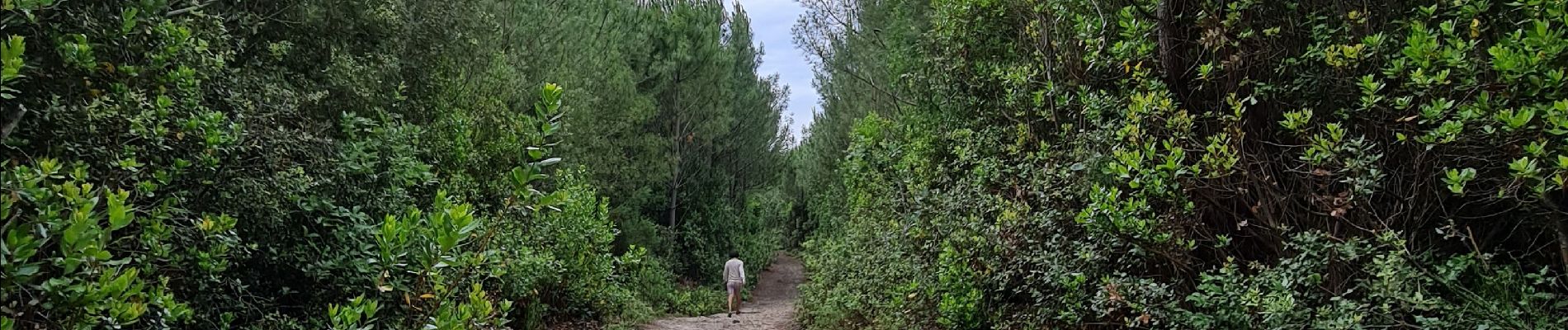 Trail Walking Le Verdon-sur-Mer - Verdon, Rocher Saint Nicolas, Pointe de Grave (Boucle) - Photo