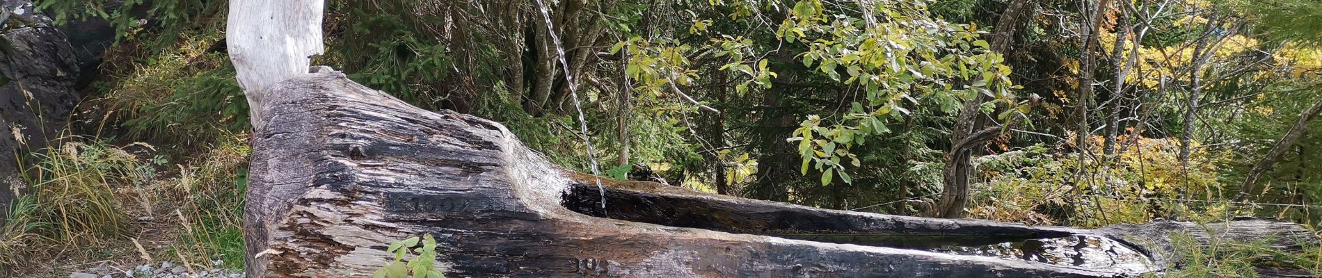 Tour Wandern Passy - CHAMONIX ... par les Ayères.  - Photo