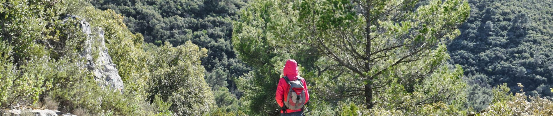 Excursión A pie Nans-les-Pins - nans les pins 10km - Photo