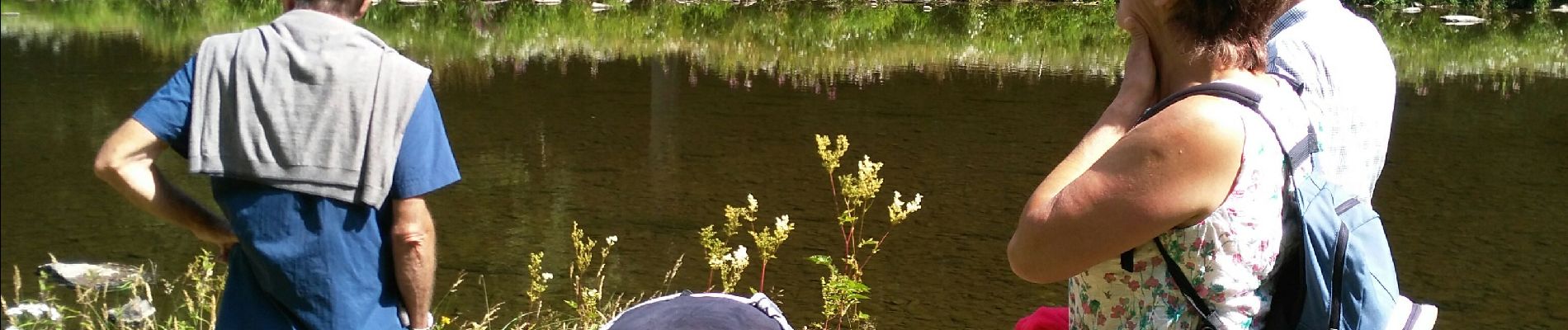 Tour Wandern La Roche-en-Ardenne - Maboge, champs Thomas - Photo