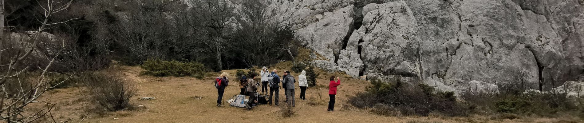 Percorso Marcia Plan-d'Aups-Sainte-Baume - Ste Baume sentier de Vincent - Photo