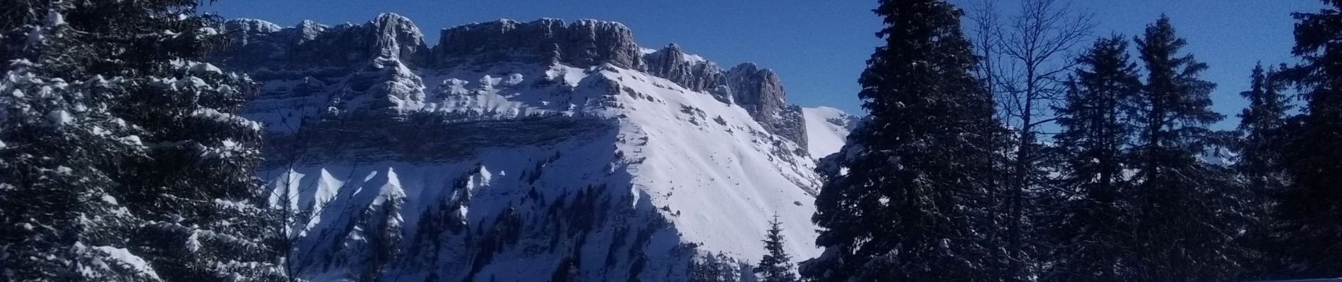 Tour Skiwanderen Saint-Pierre-d'Entremont - la Scia par le Planolet - Photo