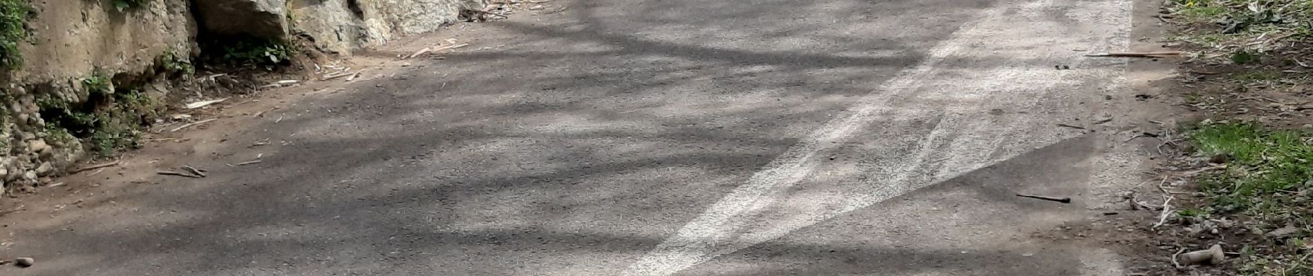 Percorso Bici da strada Bourg-de-Péage - Saint-Nazaire-en-Royans par la voie verte - Photo