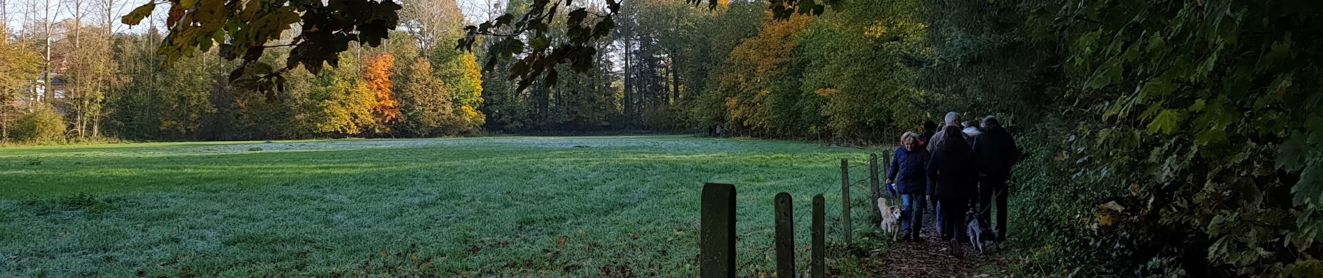 Excursión Senderismo Braine-le-Château - Marche Adeps á  Braine-le-Château  - Photo