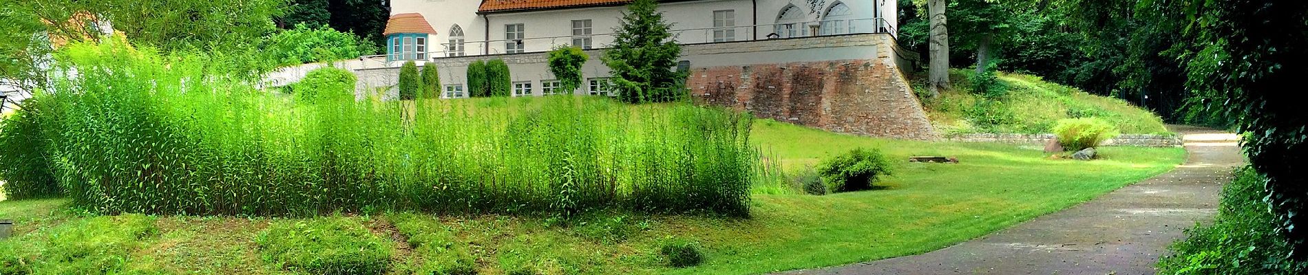 Randonnée A pied Michendorf - Rundweg um Wilhelmshorst - Photo