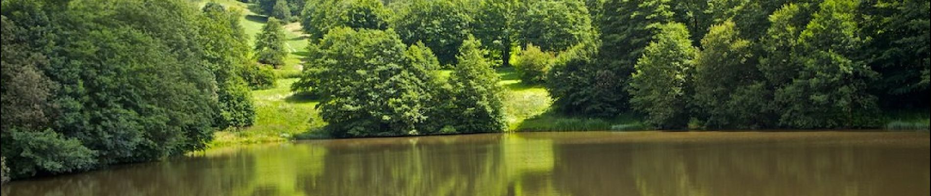 Percorso A piedi Poppenhausen - Guckaisee - Rhön-Rundweg 18 - Photo