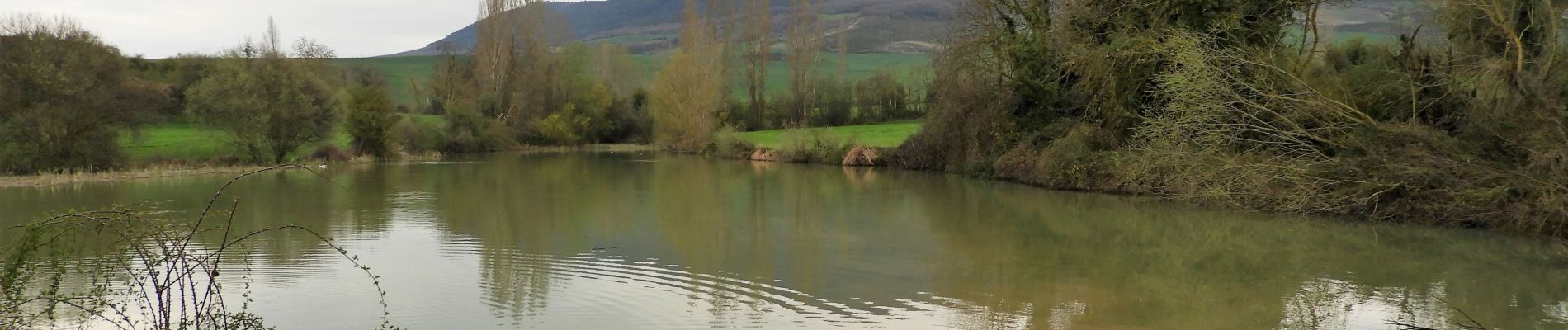 Percorso Marcia Cizur - 15.04.18 Cizur Menor--Puente l Reina - Photo