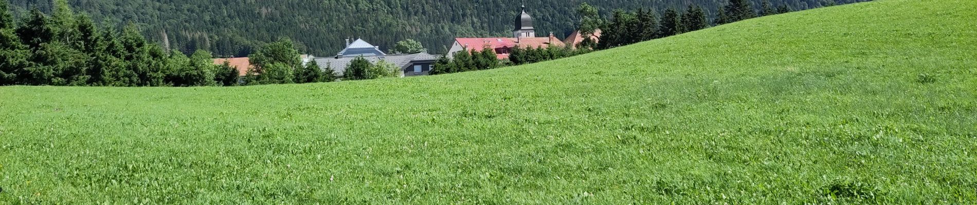 Tocht Stappen Chapelle-des-Bois - Chapelle-des-Bois 20km - Photo