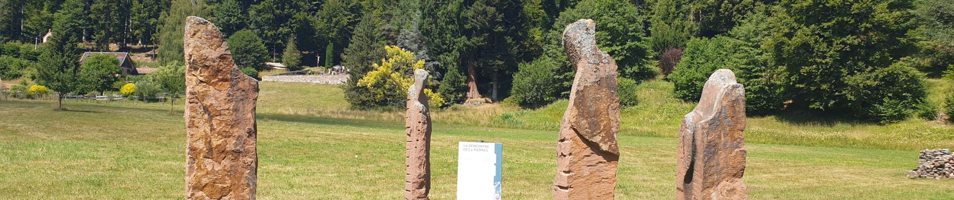 Tocht Stappen Le Hohwald - Par les sommets autour du Hohwald - Photo