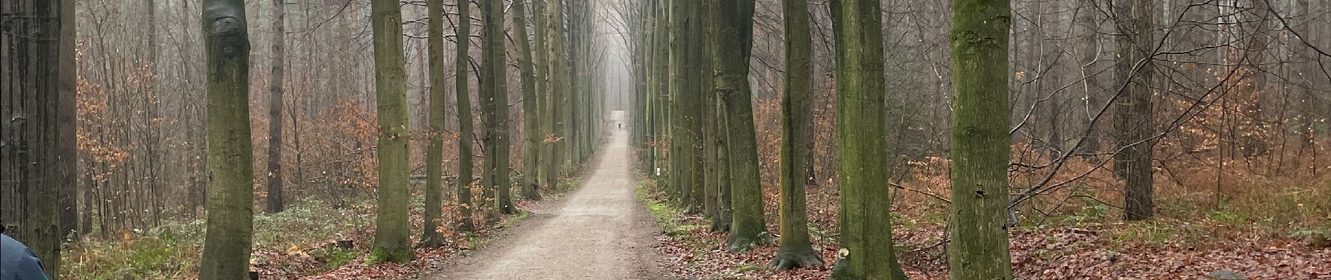 Tocht Stappen Oud-Heverlee - Meerdael  - Photo