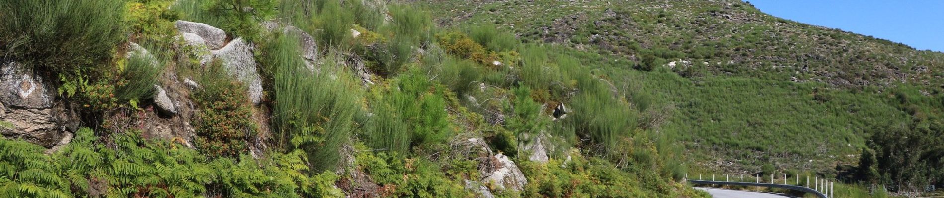 Excursión A pie Soajo - Romeiros da Peneda – Rota de Soajo (Ligação ao Mezio) - Photo