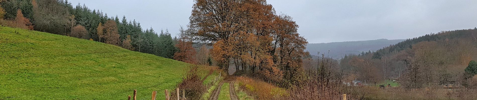 Excursión Senderismo Vielsalm - Balade à Grand-Halleux - Photo