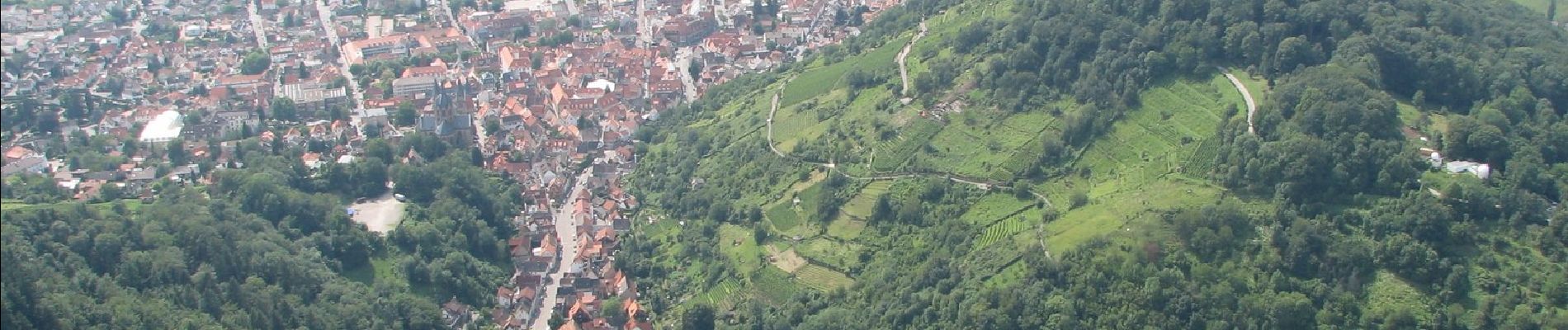 Trail On foot Heppenheim - Rundwanderweg Heppenheim Starkenburg 2: Rund um den Absbrunnen - Photo