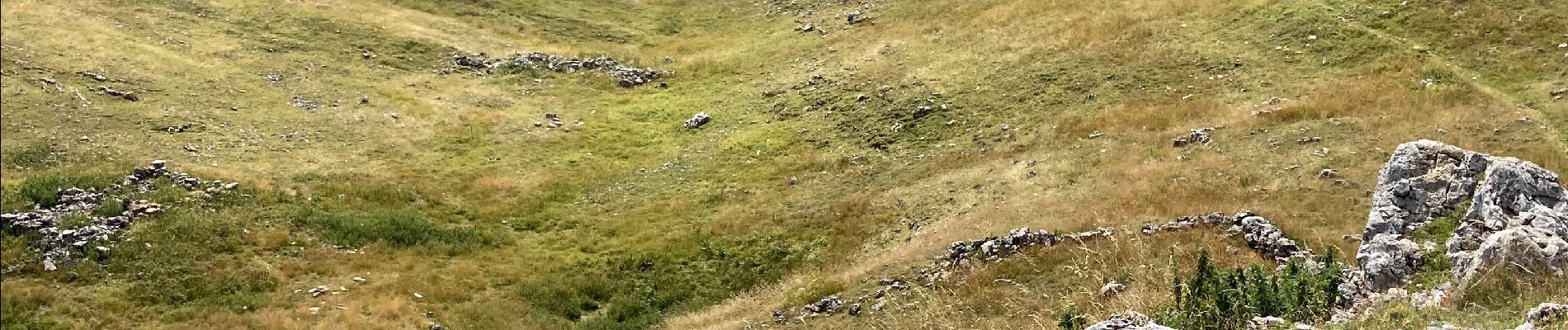 Trail Walking Saint-Agnan-en-Vercors - Tiolache reco - Photo