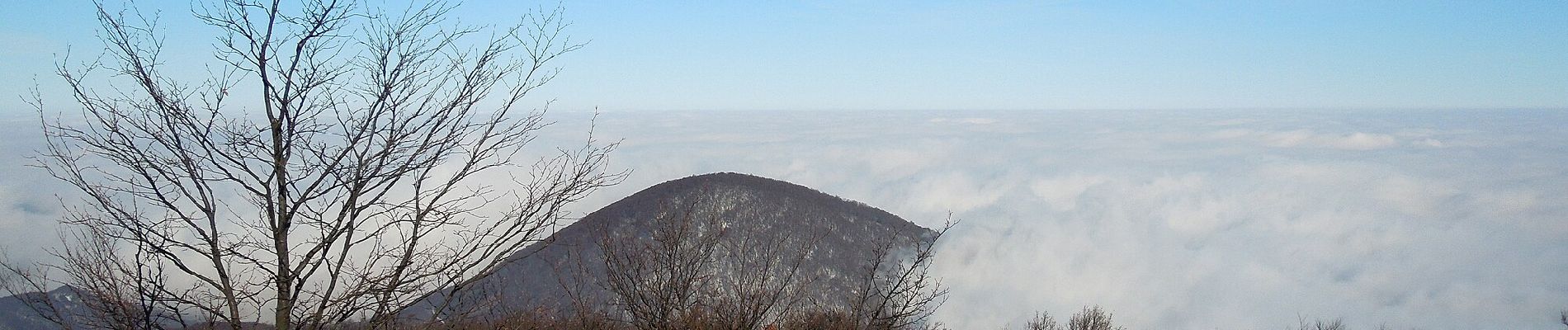 Tour Zu Fuß okres Vranov nad Topľou - Telekia - Photo