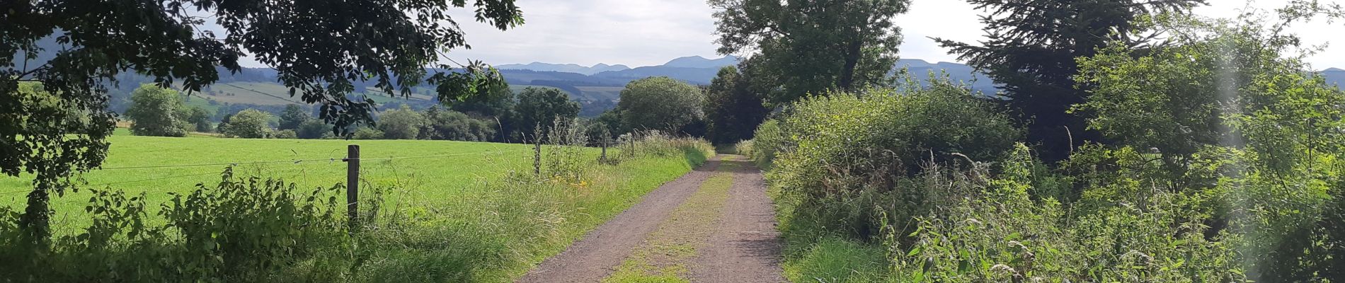 Trail Walking Aydat - NARSE D'ESPINASSE DEPUIS LA GARANDIE - Photo