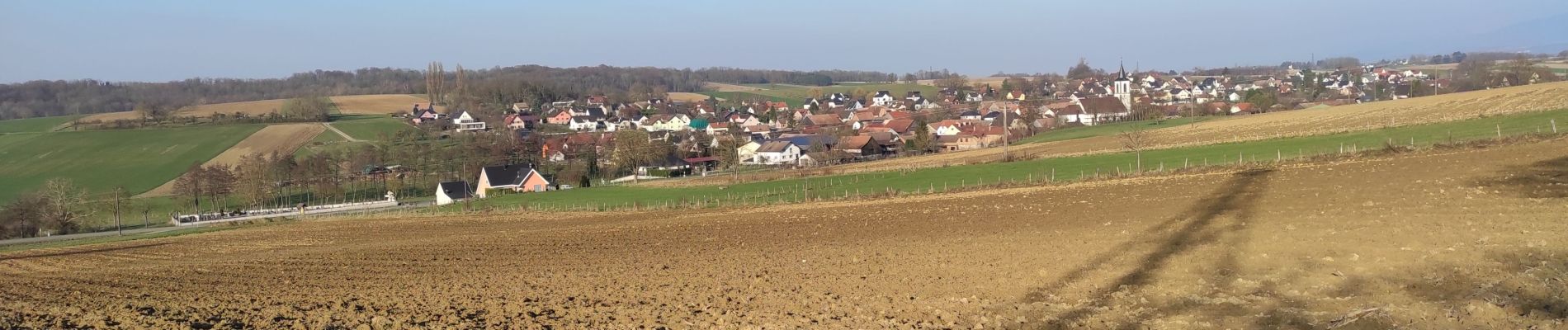 Tocht Stappen Kœtzingue - Koetzingue  - Photo