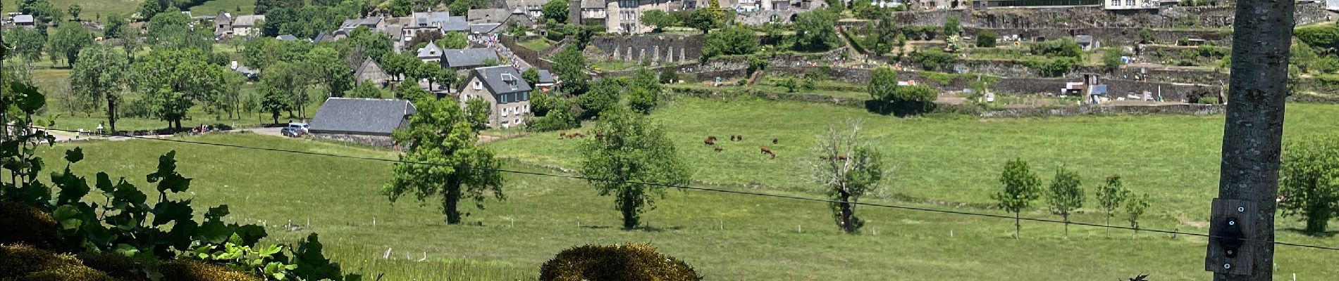 Tour Wandern Saint-Martin-Valmeroux - Pastourelle 2022 - Photo