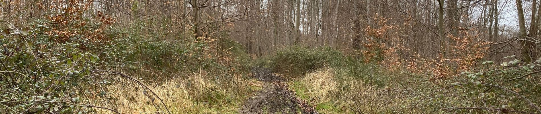 Randonnée Marche Saint-Jean-aux-Bois - Saint Jean au Bois 13,4 km - Photo